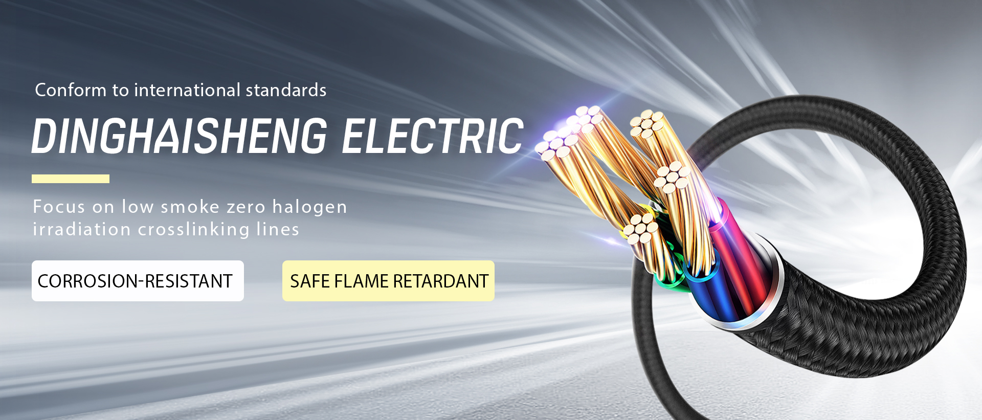 Wuxi Dinghaisheng Electric Co., LTD