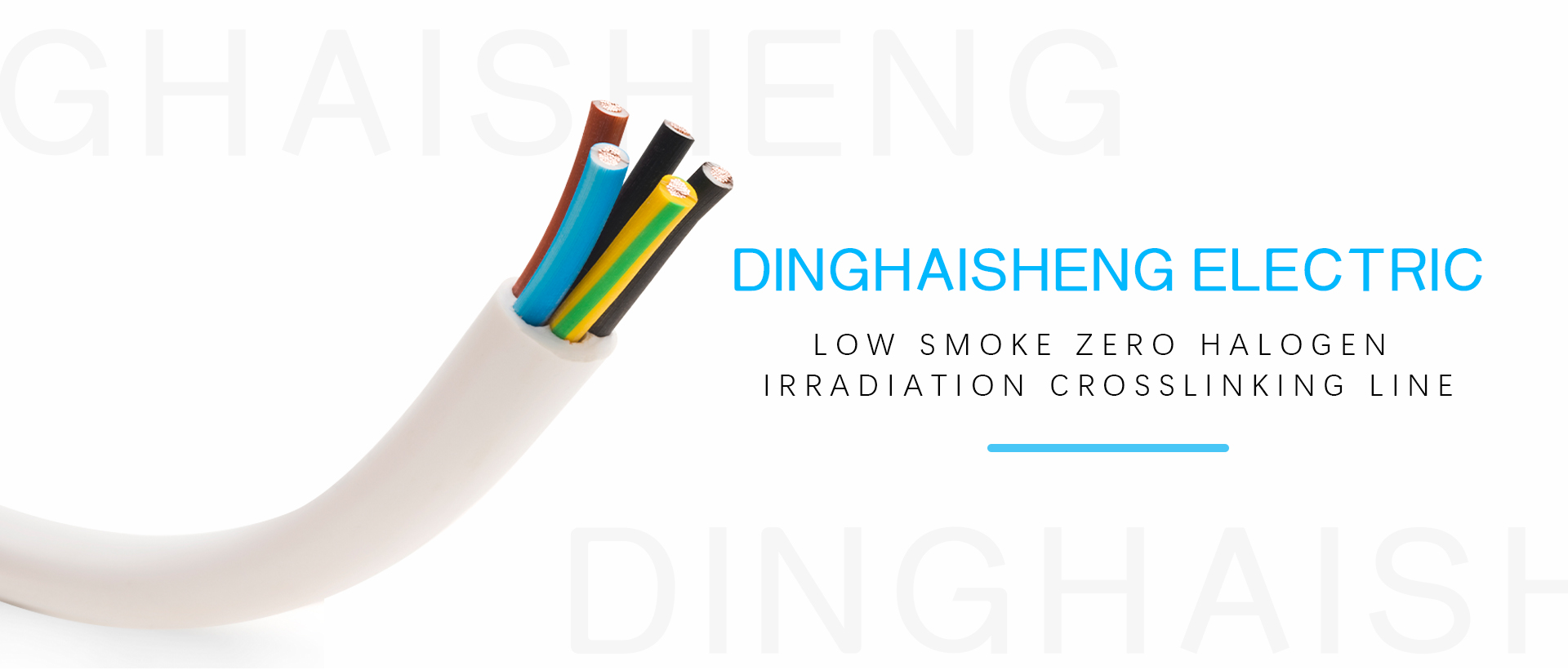 Wuxi Dinghaisheng Electric Co., LTD