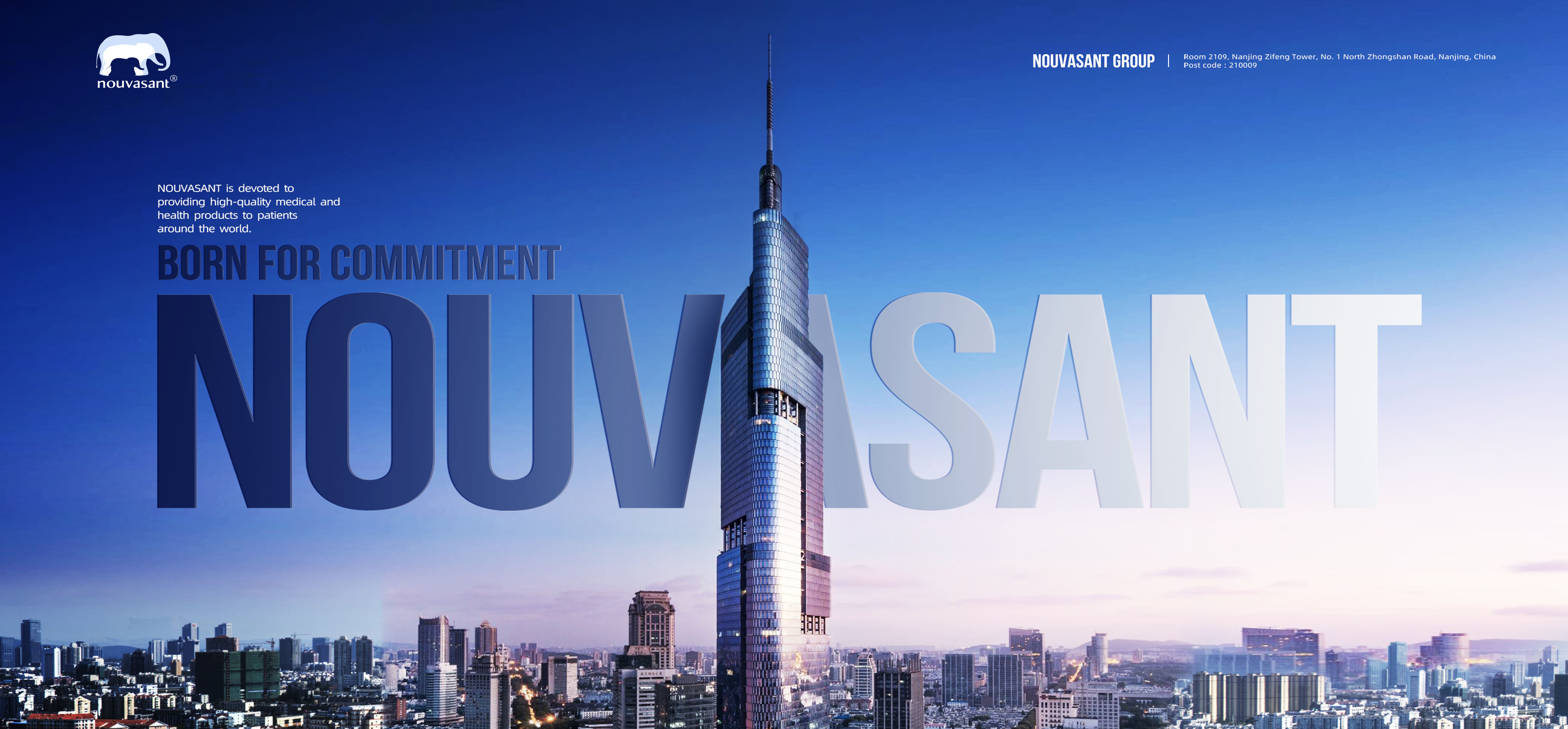 NOUVASANT GROUP LTD.