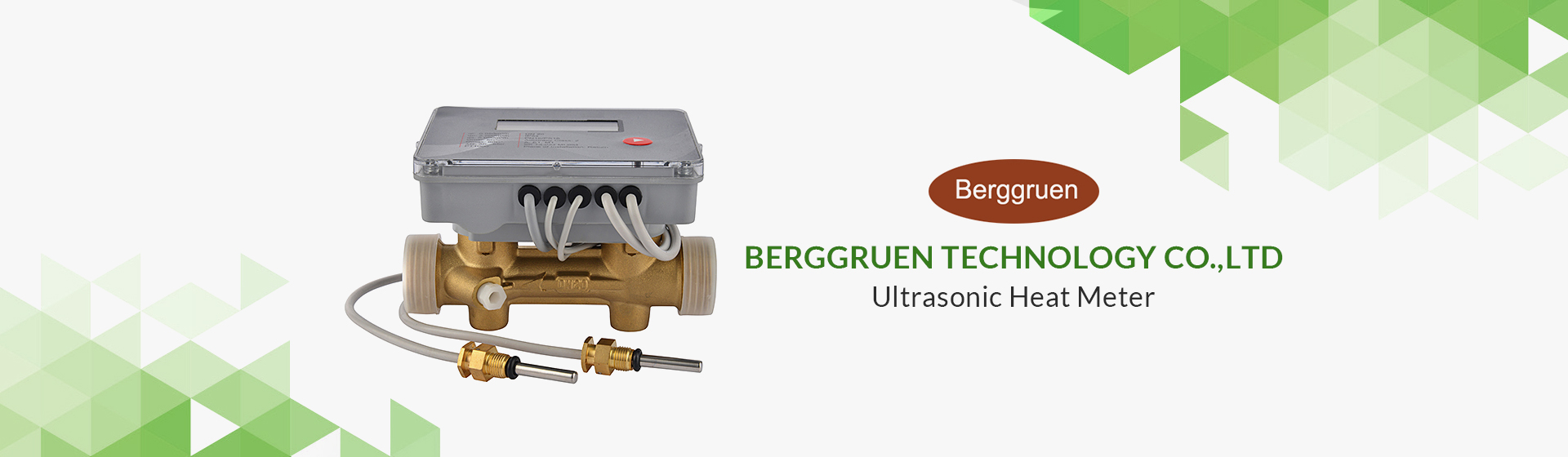 Berggruen Technology Co.,Ltd