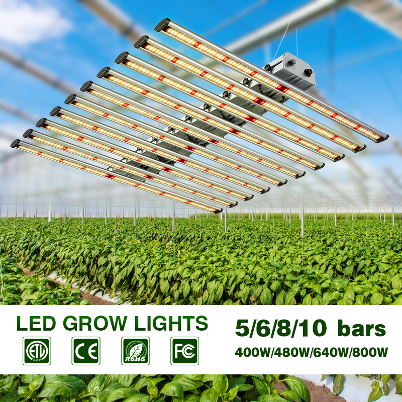 Światła LED Greenhouse LED