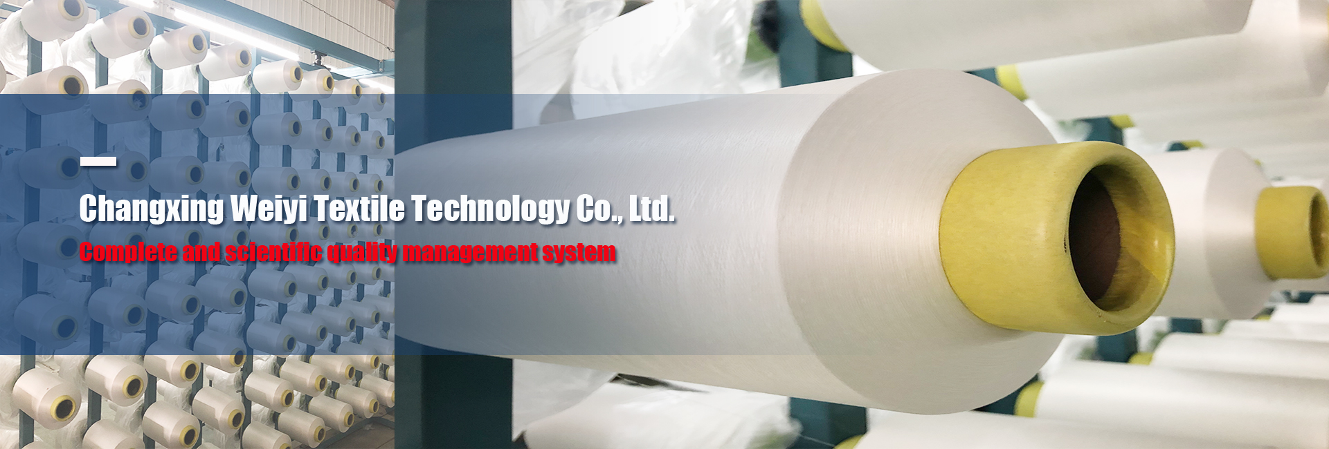 Changxing Weiyi Textile Technology Co., Ltd