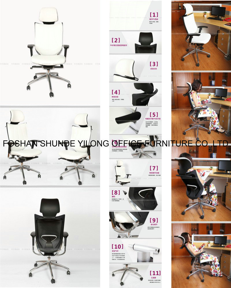 Furniture Mesh Executive Ergonomic Office Chair Multiple Color Choice