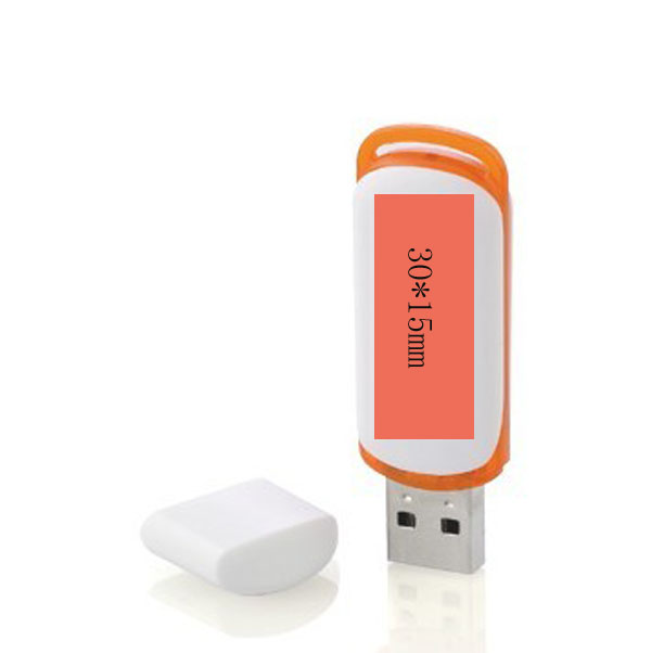 Best Cheap Promotional Gift USB Flash Disk Memory Drive USB
