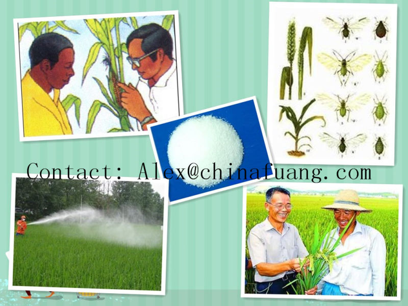 Insecticide 95%, 97%, 90%, 99%Tc CAS 120068-37-3 Fipronil