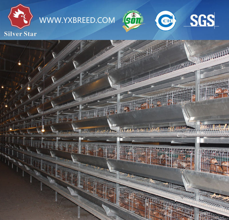 Low Price Battery Cage for Layer