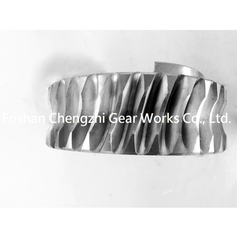 Good Quality Customized Transmission Gear Worm Gear for Various Machinery