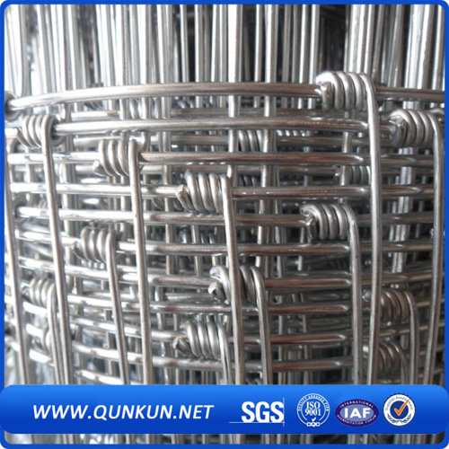 Electro Galvanized Iron Wire Mesh Cattle Fencing