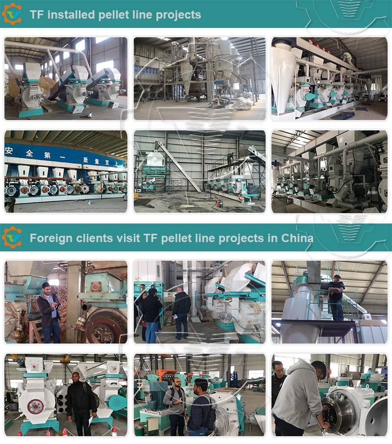 China Professional Biomass Wood Pellet Extruder Pelletizer