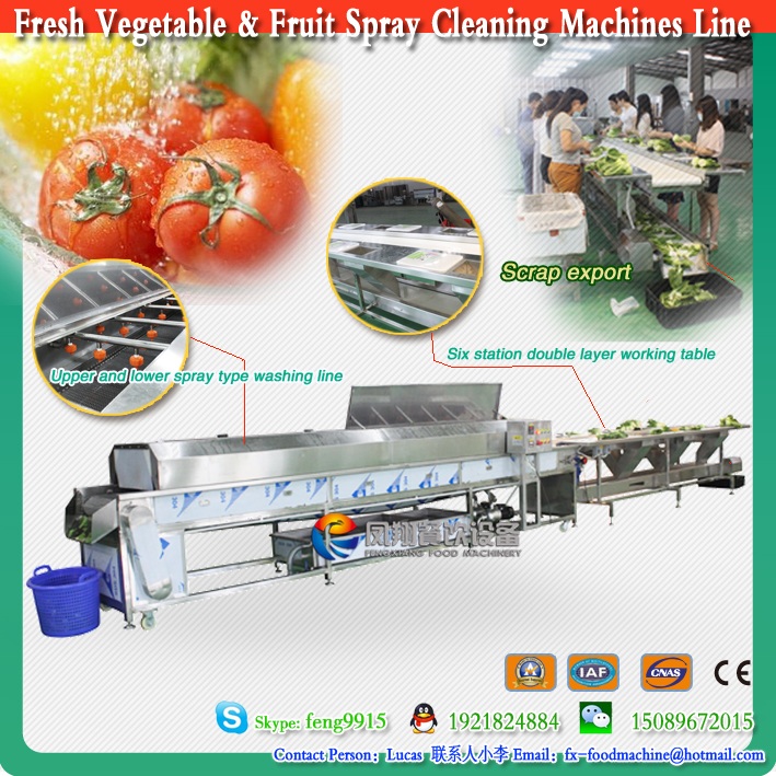 2016 Fruit & Vegetable Cleaning Spray Sorting Machines Line for Selection and Preparation