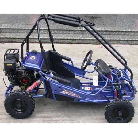 50cc Two Seat Go Kart Differential Mini Buggy for Kids