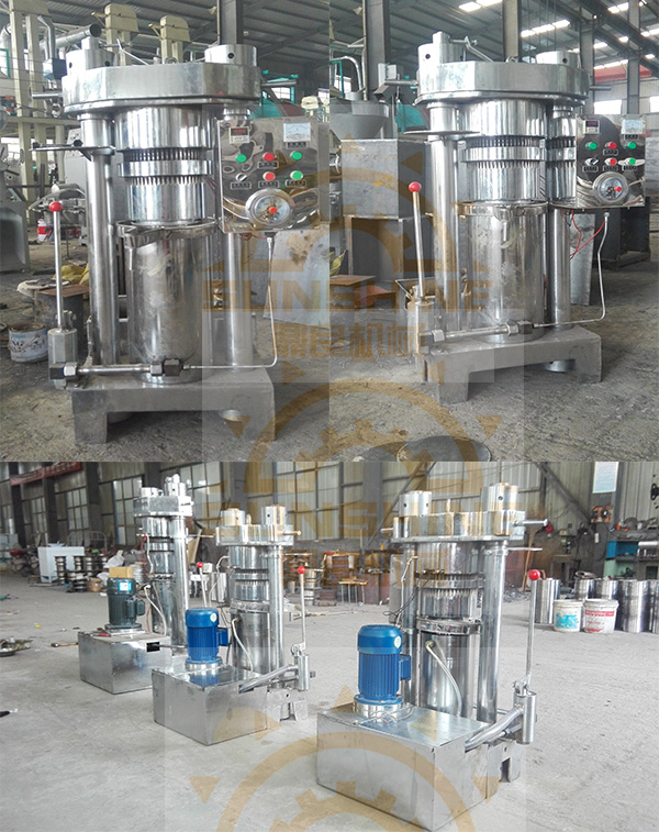 45kg Cocoa Bean Pumpkin Seed Extraction Hydraulic Oil Press Machine