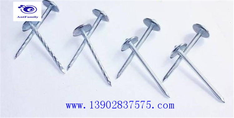 Umbrella head roofing nails manufacturer