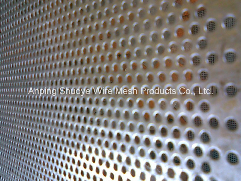 High Quality Galvaized Perforated Metal Mesh for Decorative Mesh