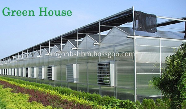 Fiber-glass Roofing Sheet