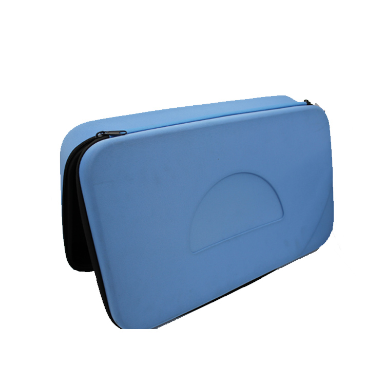 eva case eva case
