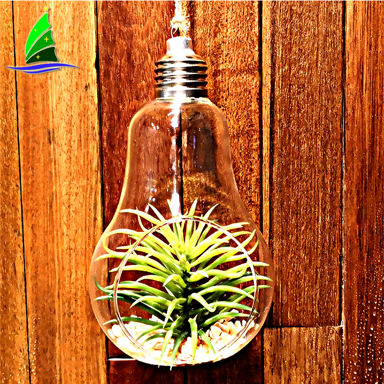 Forma de bombilla jarrón de cristal colgante Light Bulb Shape Hanging Glass Vase