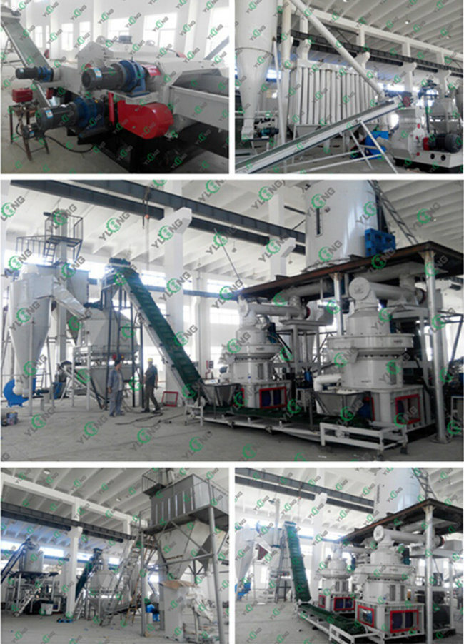 1-1.5tph High Efficiency Wood Biomass Pellet Machine