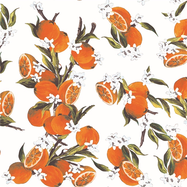 Printed Cotton Fabric for Dress and Wind Coat (DSC-523)