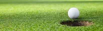 Ibdu Slow Release Fertilizer for Golf Course Grass Fairway