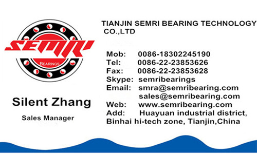 High Sensitivity High Accuracy Linear Bearing (7602035TNl) with Cheap Price