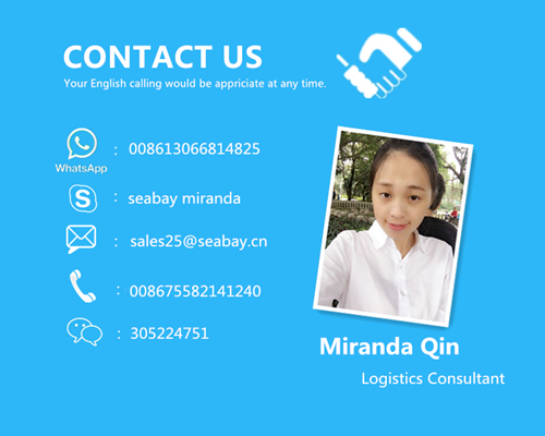 Professional Freight Forwarder From Ningbo to Balboa