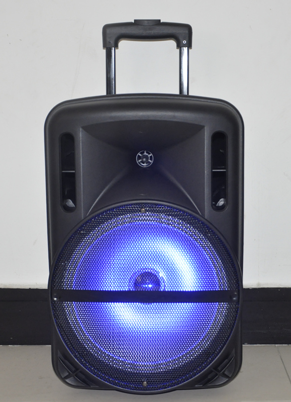 12inch Rechargeable Speaker /Bluetooth/USB/SD in/Recording/Lights/Remote F12-1