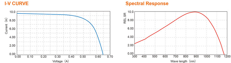 monocrystalline solar cells