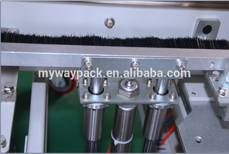 Carton erecting packing machine