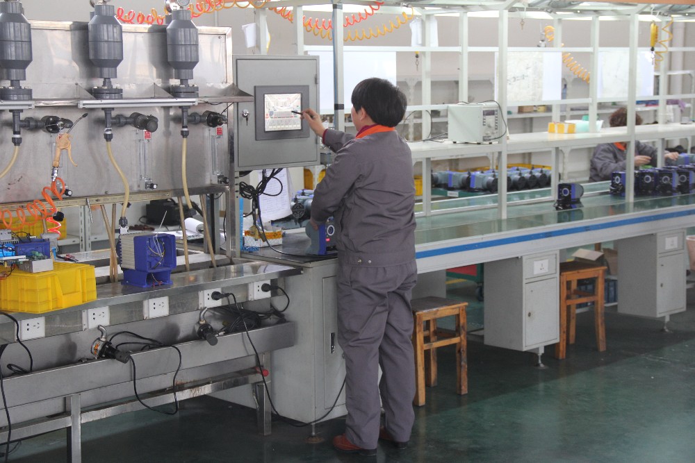 Solenoid dosing pump workshop