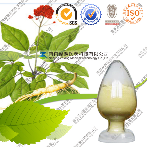 Zelang Plant Extract Supplier Where to Buy Ginseng Extract