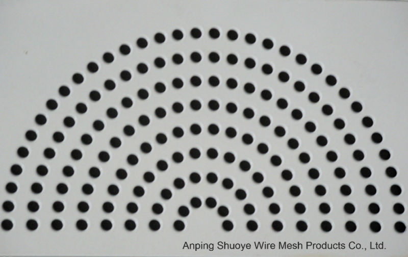 Zinc Coated Punching Hole Sheet/Perforated Metal Mesh (ISO 9001)