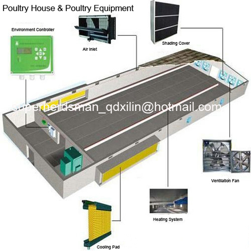 High Quality Automatic Poultry Farm Equipments