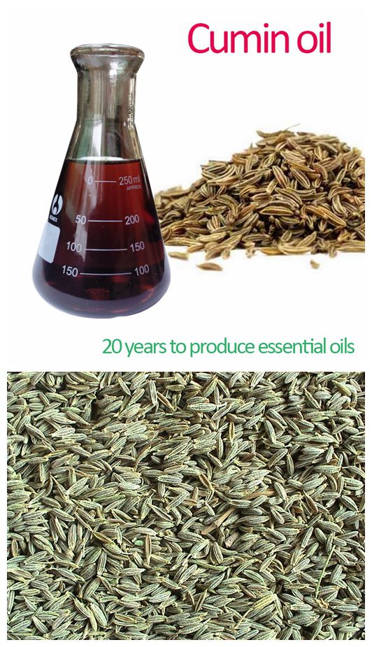 cumin oil