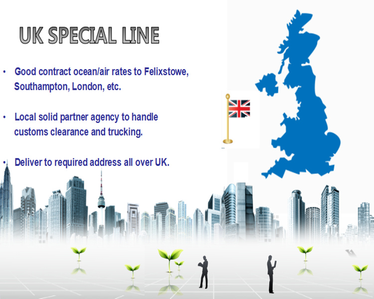 Shenzhen Professional Sea Shipping Agent to Felixstowe UK