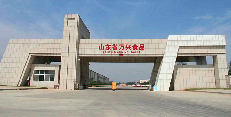 LAIWU MANHING COMPANY LAIWU MANHING COMPANY