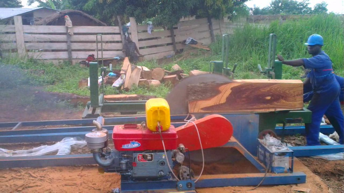 Diesel Sawmill Machine Woodworking Circular Sawmill with Carriage