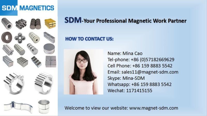 D8*8mm N42 Neodymium Magnet
