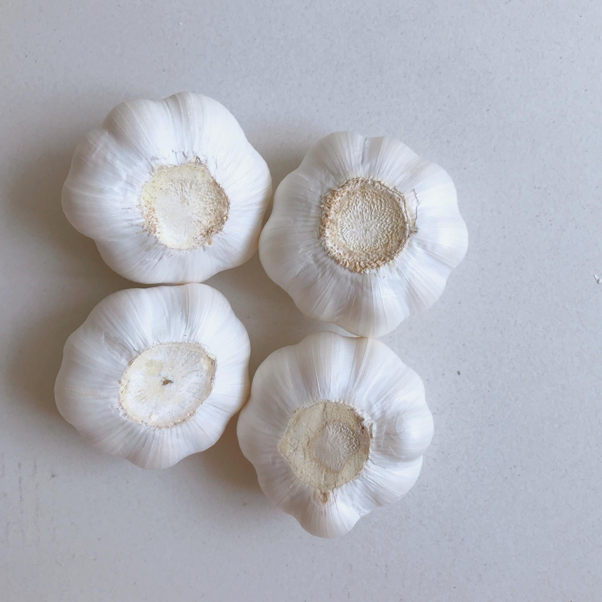 Ajo barato personalizado de alta calidad al por mayor High Quality Wholesale Custom Cheap garlic