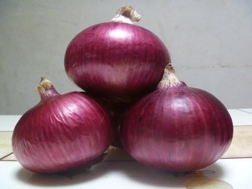 Quality fresh onion vegetables new crop for wholesale Quality fresh onion vegetables new crop for wholesale