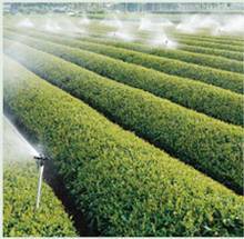 Organic Water Soluble Zinc EDTA Chelate Fertilizer