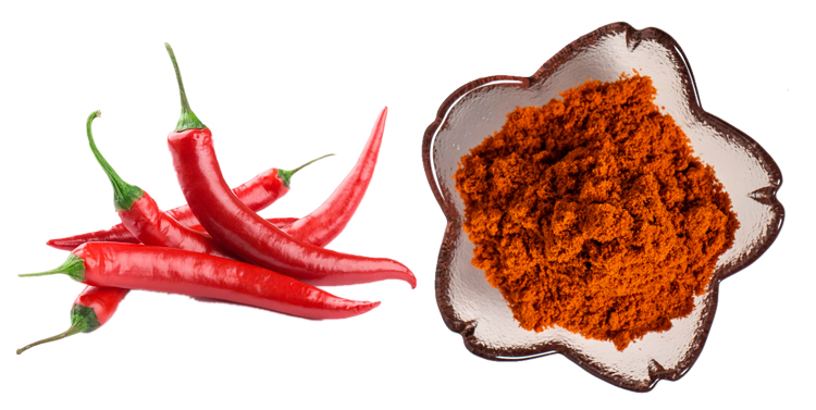 Chili Pepper Extract Chili Pepper Extract