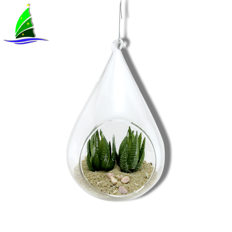 Vasos para plantação de vidro Terrário Glass Planter Vases Terrarium