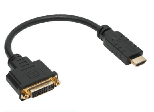 HDMI-DVI-I 24 +5アダプタケーブル