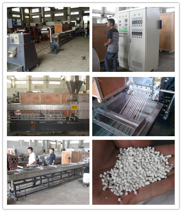 Nanjing Haisi Compounding Twin Plastic Extrusion Machine
