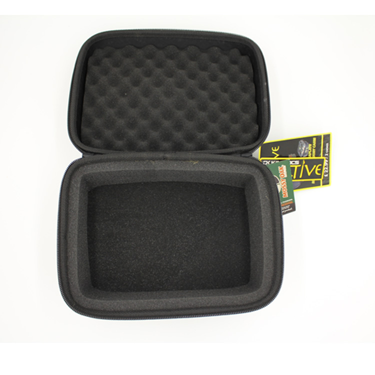 eva case eva case