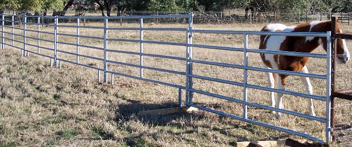 cattle fence