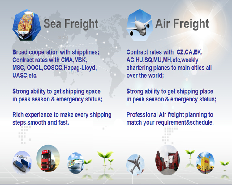 Top 10 Shipping Agency in China to Worldwide