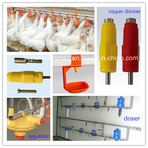 2016 Hot Sale Automatic Poultry Farm Equipment for Chicken House