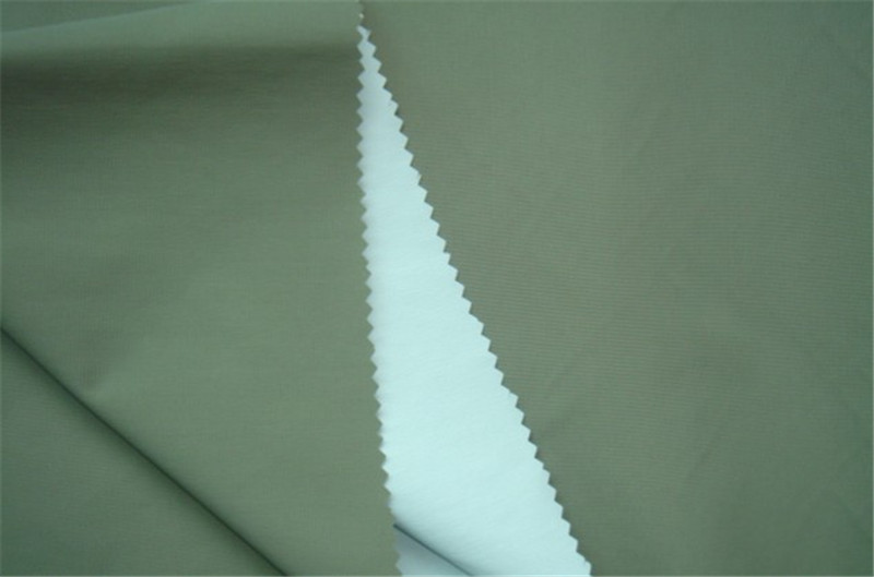 228t Nylon Taslan Fabric with PU Coated (XST002)